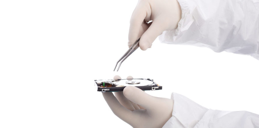 Etiam commodo convallis